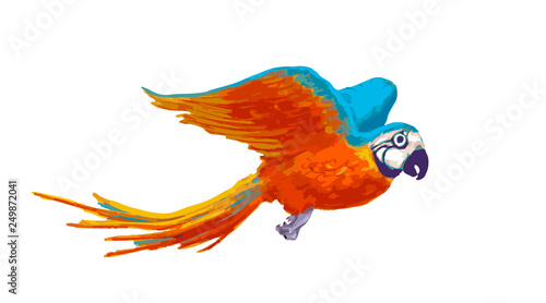 Bright colorful flying parrot, cartoon animal on white