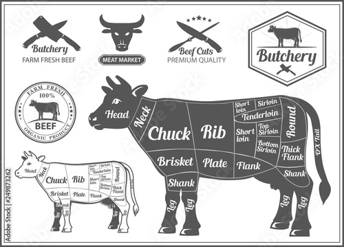 Beef cuts and logo for butcher shop poster