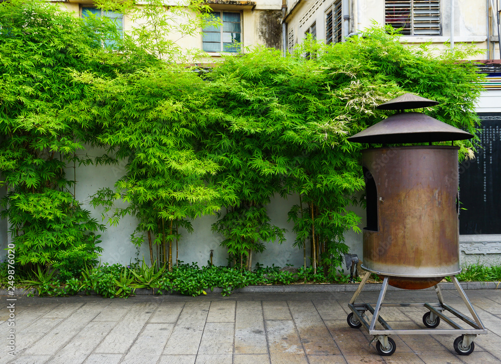 Obraz premium Bamboo garden of Chinese temple