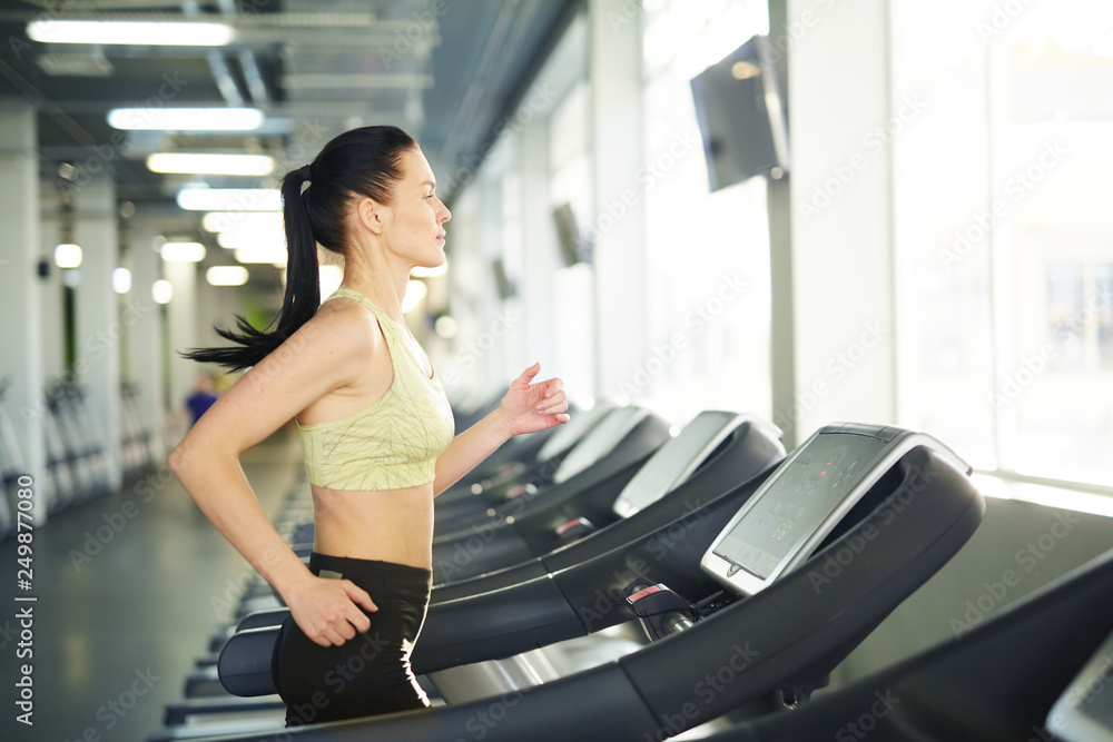Young fit brunette female in activewear training on one of treadmills in sports center in front of window Young fit brunette female in activewear training on one of treadmills in sports center in front of window