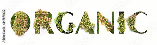 Cut out word ORGANIC with growing plant inside. Bio production concept photo