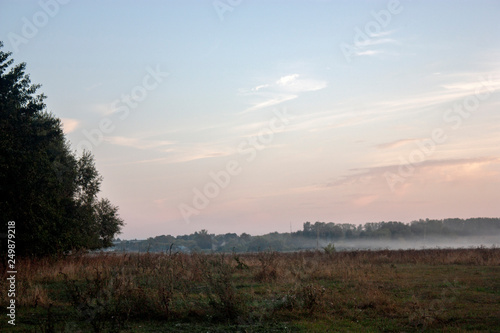 View of a lonely tree on a field in the fog dawn morning