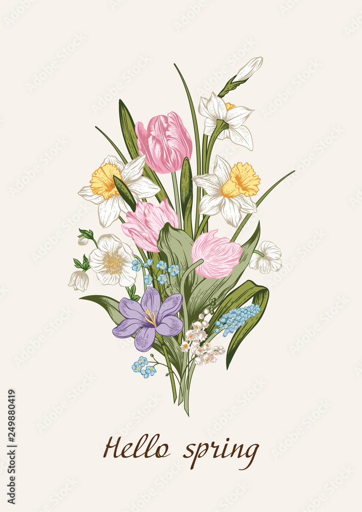 Spring bouquet of flowers. Floral background. Vector illustration.