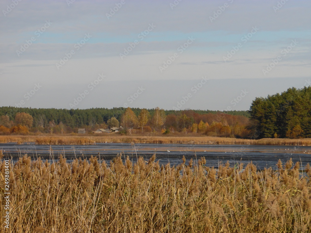 autumn landscape with lake, Chernihiv region