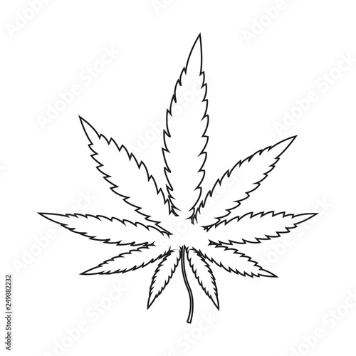 Cannabis leaf icon, marijuana leaf, transparent background. Vector illustration.