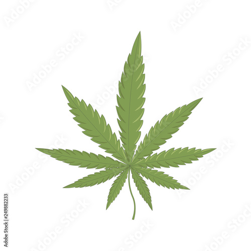 Cannabis leaf icon, marijuana leaf. Vector illustration.