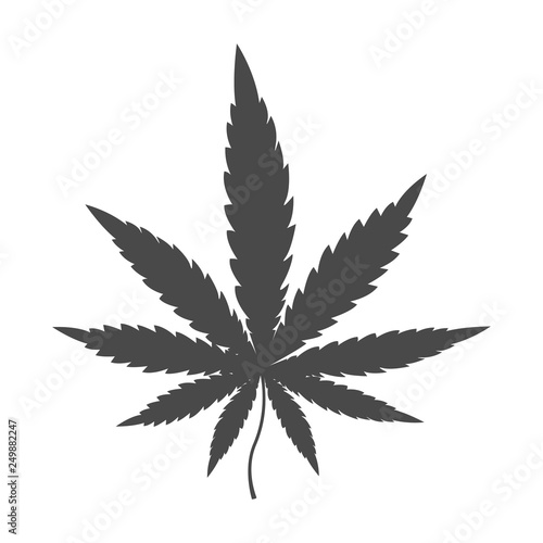 Cannabis leaf icon, marijuana leaf. Vector illustration.
