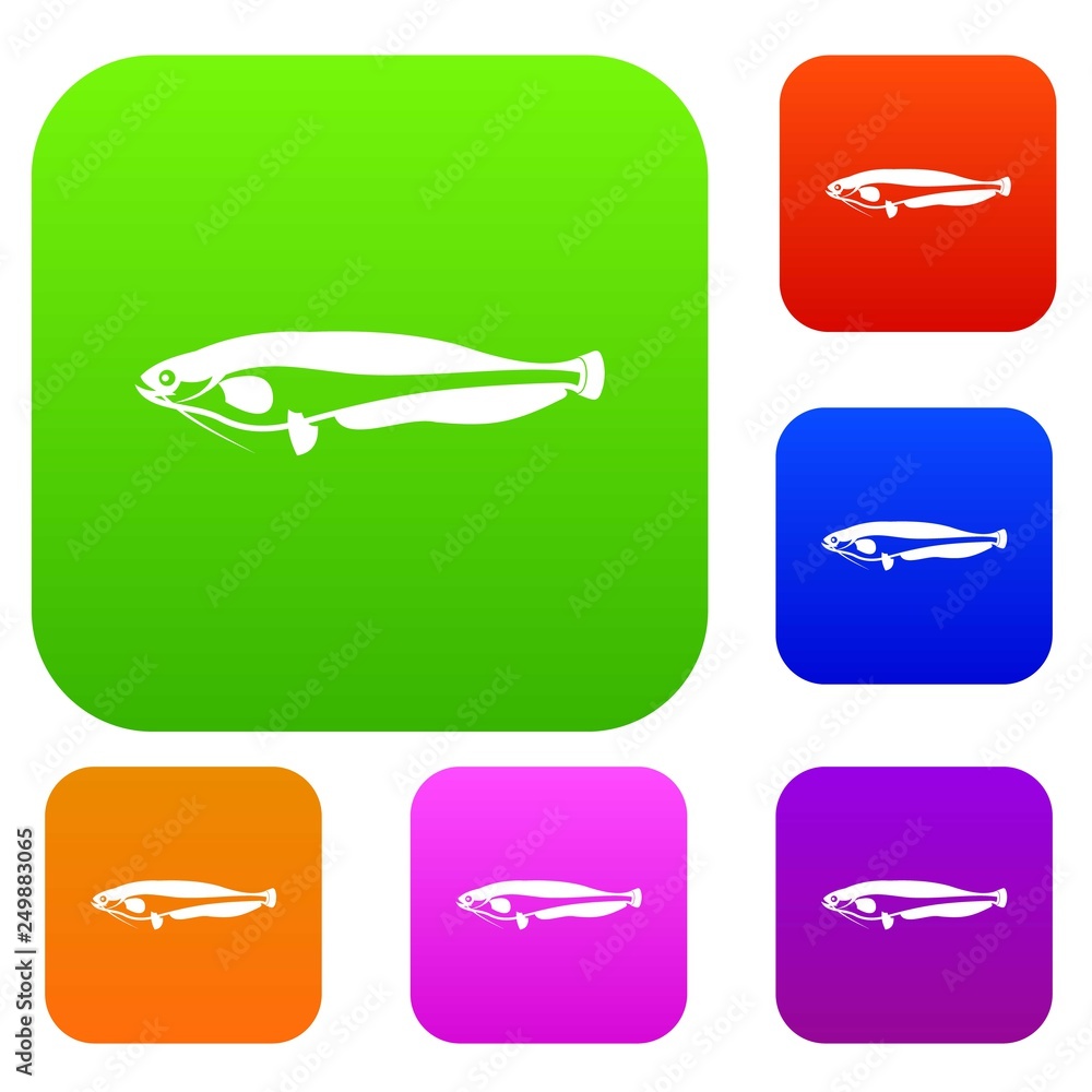 Fototapeta premium Atlantic mackerel, Scomber scombrus set icon in different colors isolated vector illustration. Premium collection
