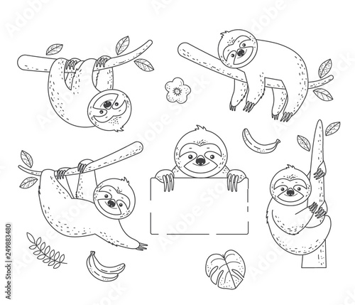 Set of outline sloth sitting on a branch. Coloring Pages