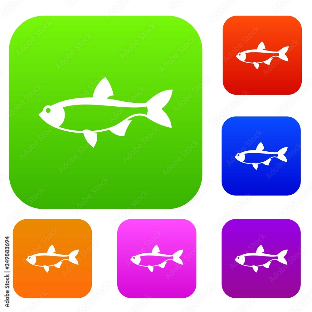 Rudd fish set icon in different colors isolated vector illustration. Premium collection