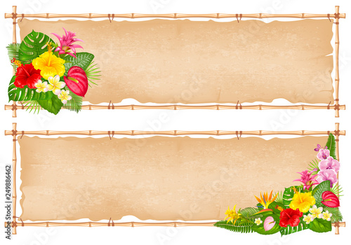 Summer tropical frame design