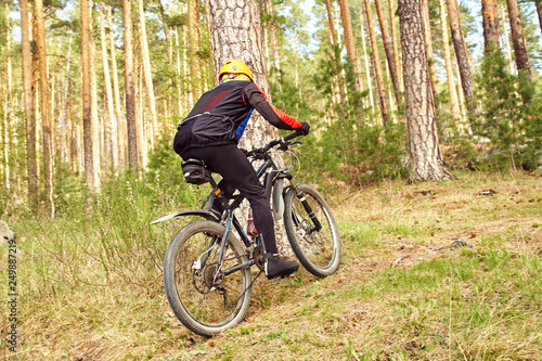 cyclist riding a mountain bike along forest road