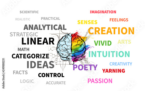 Technical and creative hemispheres on human brain, text infographic on white
