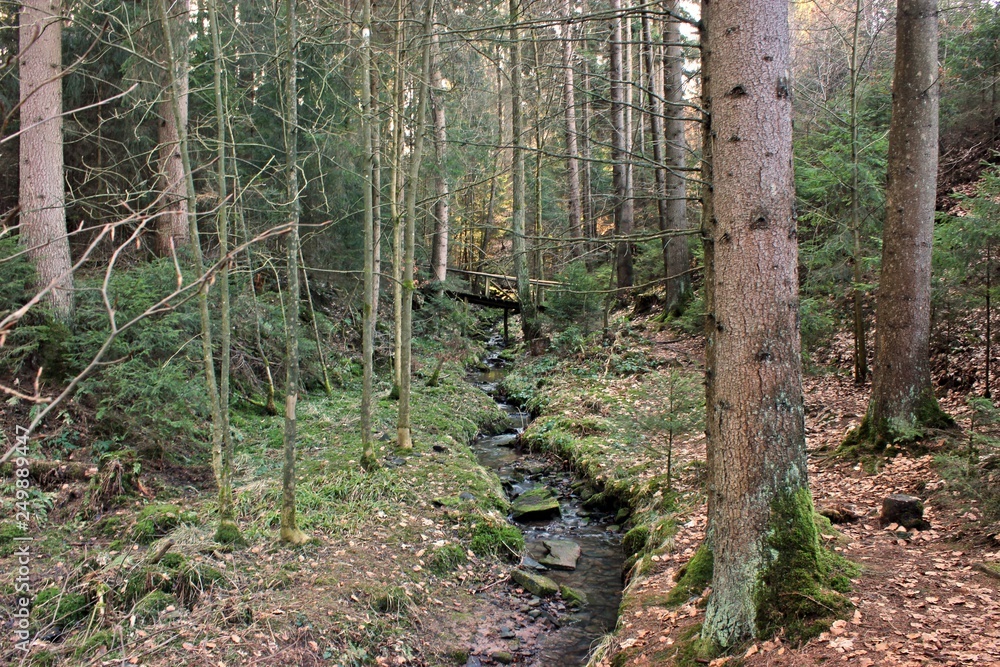 Obraz premium Die Lochbachklamm im Knüll