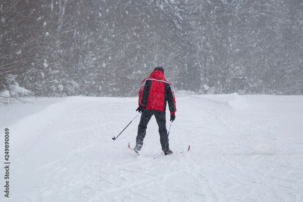 Cross-country skiing in winter