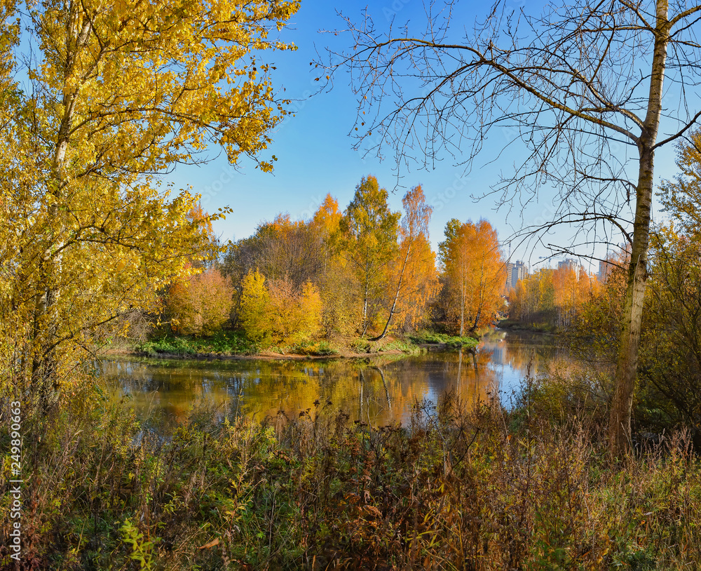 Golden autumn on the river Slavyanka in St. Petersburg. Different trees in the autumn beautiful decoration.