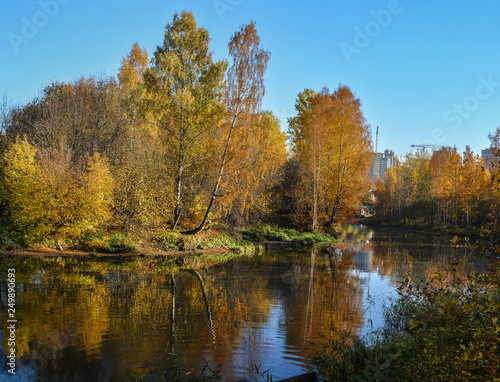 Golden autumn on the river Slavyanka in St. Petersburg. Different trees in the autumn beautiful decoration.