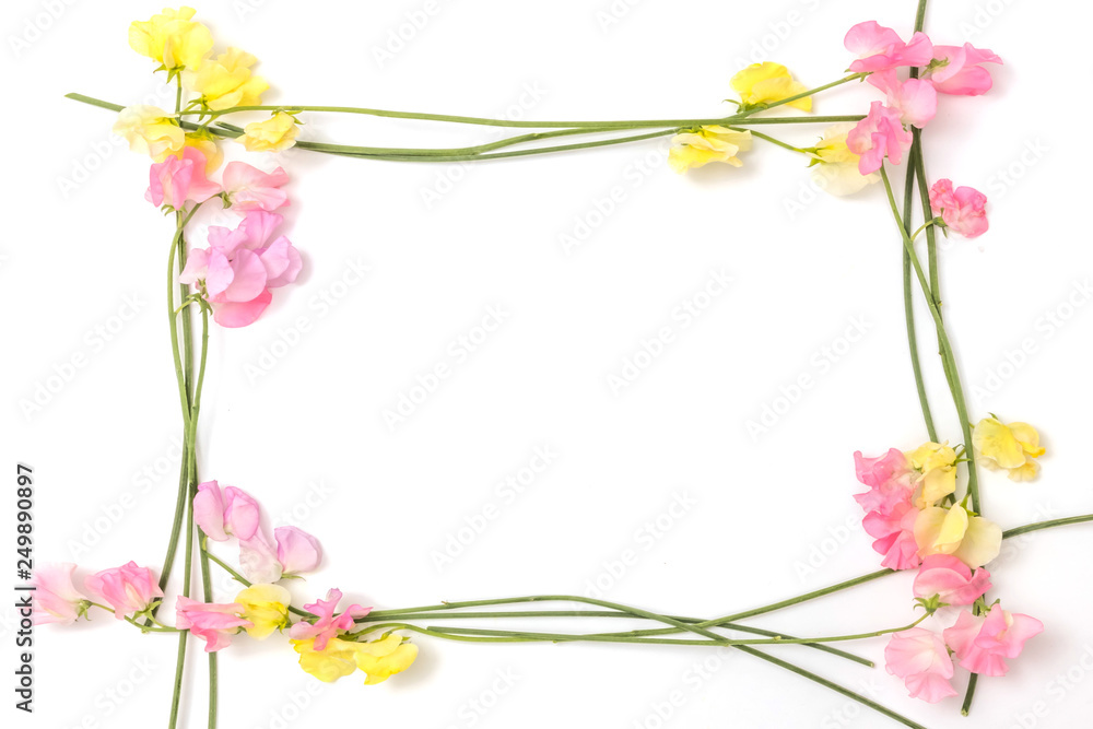 花のフレーム　Beautiful flowers of the frame