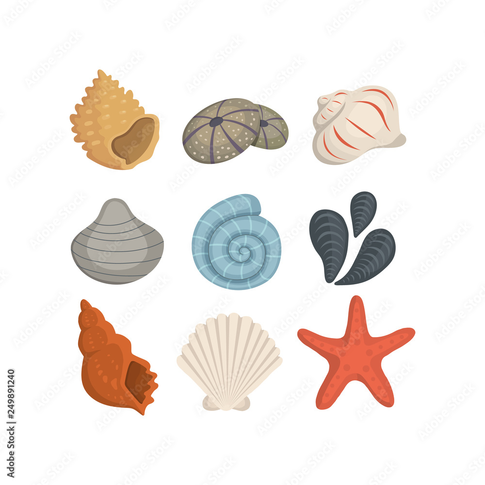Sea shell vector icons in cartoon style. Set of clam mollusc. Ocean cockleshell. Sea shell vector icons in cartoon style. Set of clam mollusc. Ocean cockleshell.