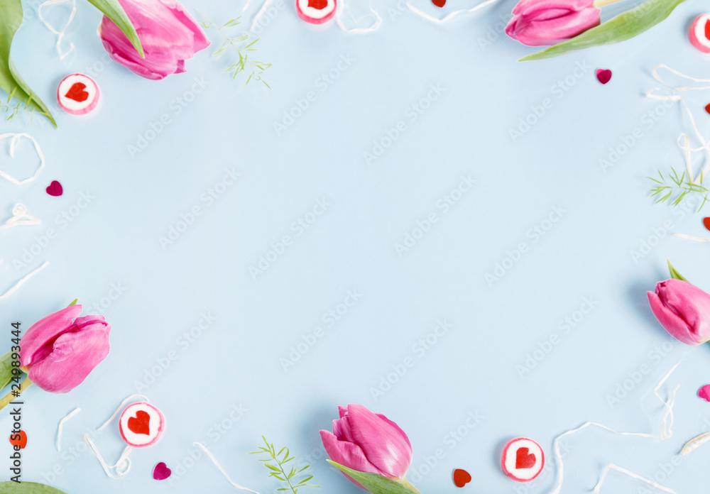 Festive purple pink flower tulips composition on blue background. Overhead top view, flat lay