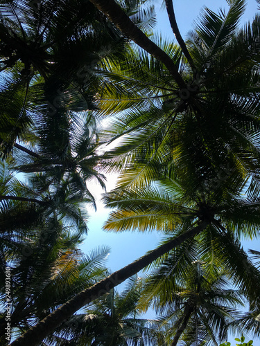 Vacation to Beach Shore coastline