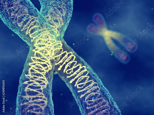 Canvas Print Chromosomes , genetic engineering