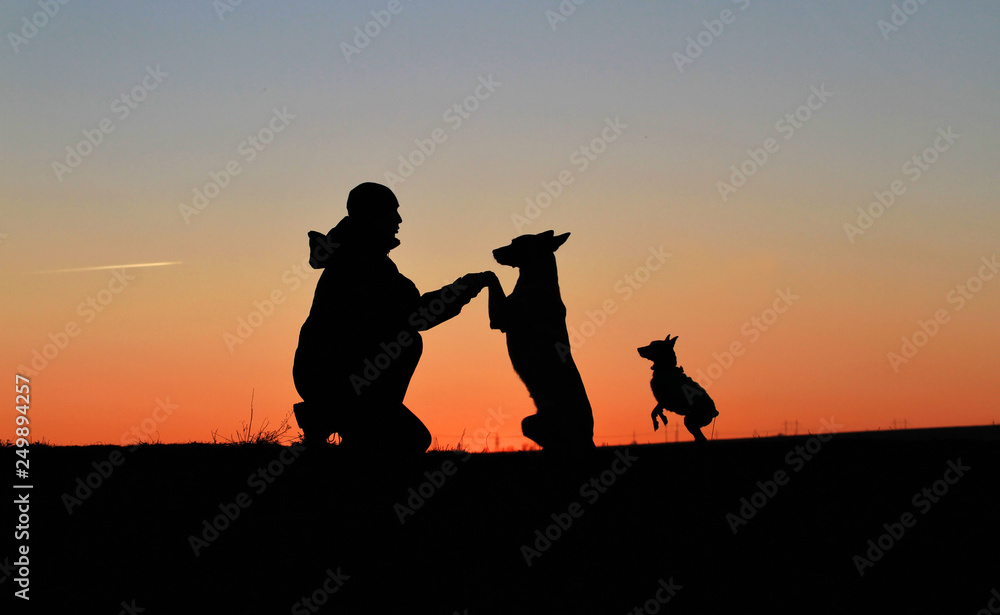 A man and two dogs against the backdrop of an incredible sunset