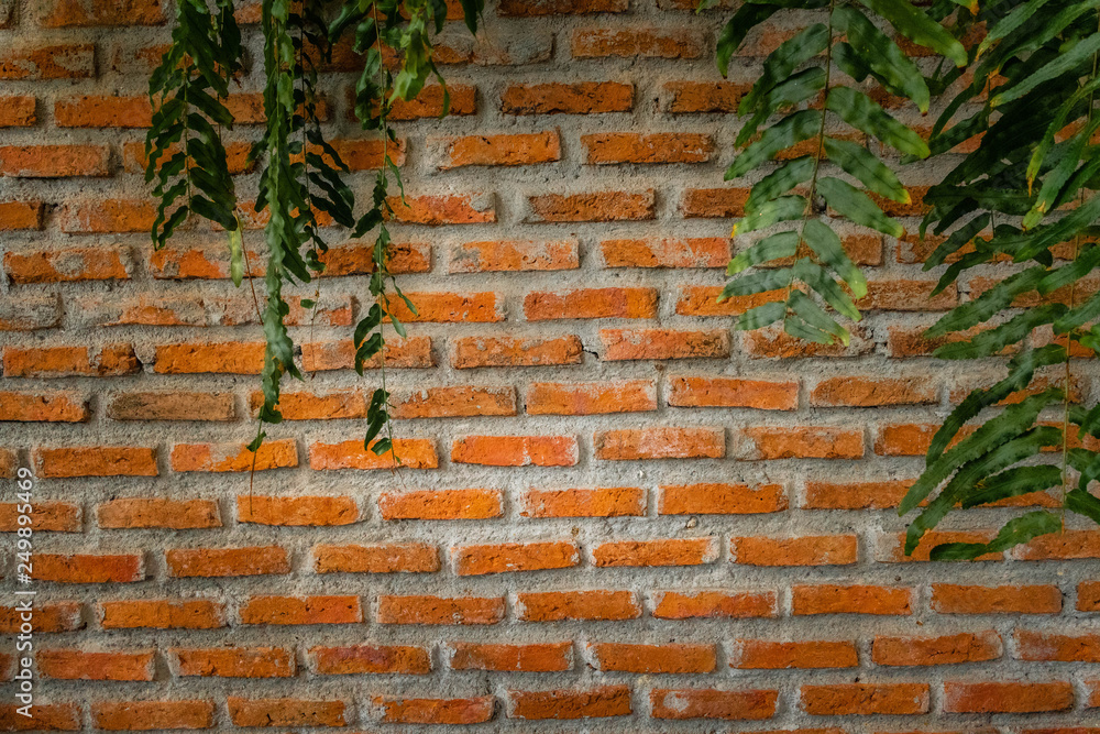 Old brick background decorative at home. Brick wall background with fresh  green leave look like freshness and fresh natural. Stock Photo | Adobe Stock