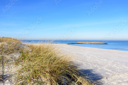Fototapeta Naklejka Na Ścianę i Meble -  Strand und Düne  als Küstenbefestigung  bei Heidkate an der Ostsee in Schleswig-Holsten