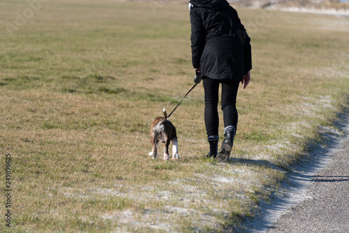 Spaziergang mit dem Hund am Strand an einem sonnigen Wintertag