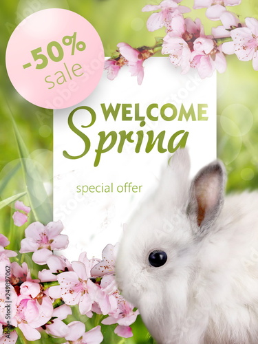 Photos Welcome spring poster
