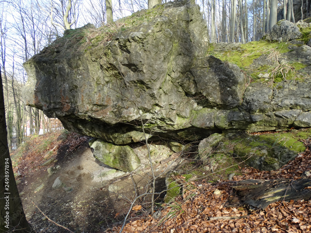 Großer Felsbrocken im Wald bei Brunkensen