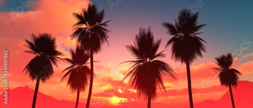 Palm trees at sunset, coconut palm trees against the sunset sky with clouds, palm trees dragging at sunrise © ustas