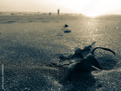 Vacation to Beach Shore coastline