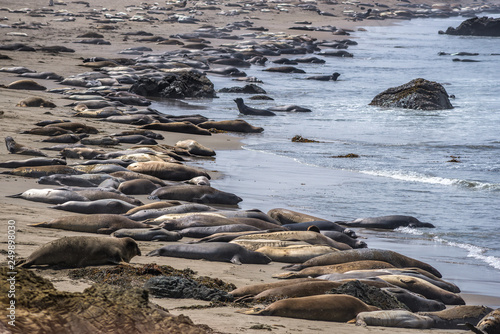 Pacific Coast Highway  Highway 1   Big Sur  Morro  Cambria  Elephant Seals  California