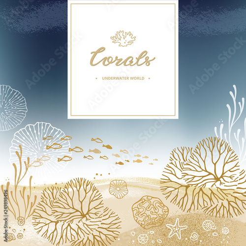 Design with lettering and a place for text with a coral background of corals and marine elements, hand-drawn. Sea bottom background with place for text.