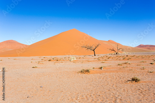 Beautiful red dune