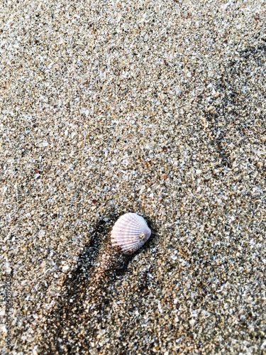 Vacation to Beach Shore coastline