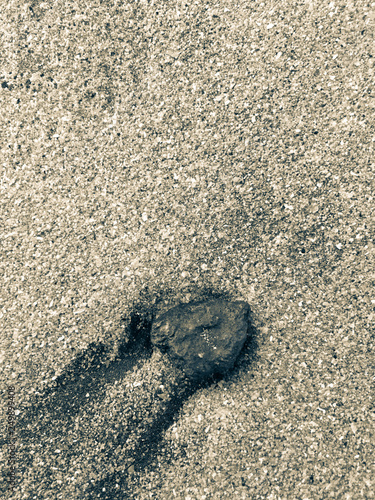 Vacation to Beach Shore coastline