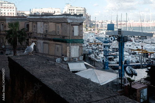 Neapel © Svensen