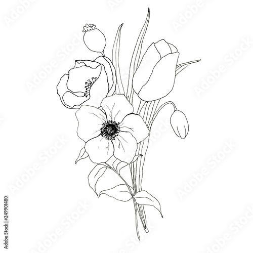 Sketch greenery and anemone bouquet. Hand painted flowers and berries with eucalyptus leaves and branch isolated on white background for design  print or fabric.