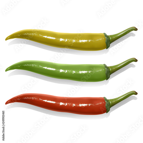 Set of Hot chilli peppers isolated on white background. Chilli peppers of Red, yellow and green colors.