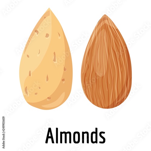 Almonds icon. Cartoon of almonds vector icon for web design isolated on white background