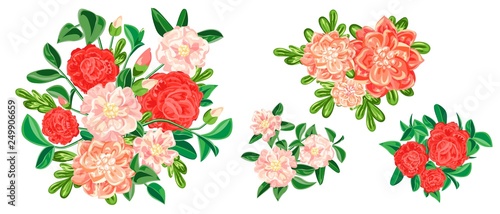 Camellia banner set. Cartoon illustration of camellia vector banner set for web design