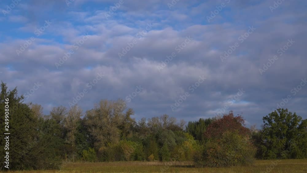 wind drives the clouds over the top of the trees in the hilly terrain. wind drives the clouds over the top of the trees in the hilly terrain.