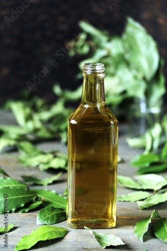 infusion of laurel leaves alcohol. liquor from laurel. Fresh leaves of laurel tree are taken and insisted on alcohol or vodka. popular in the Mediterranean. in Italy called "alloro" 