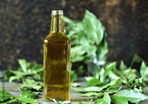infusion of laurel leaves alcohol. liquor from laurel. Fresh leaves of laurel tree are taken and insisted on alcohol or vodka. popular in the Mediterranean. in Italy called "alloro" 