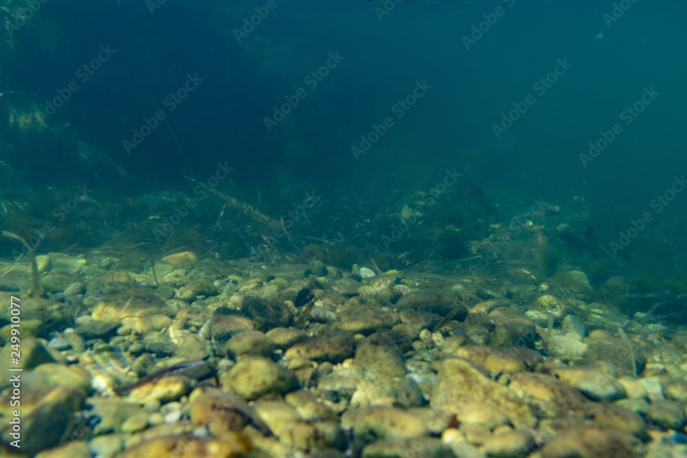 Unterwasserbild 5 Unterwasserbild 5