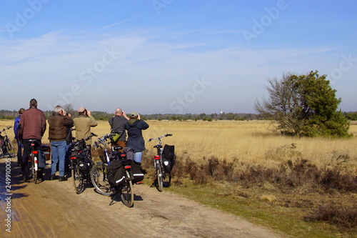 Unknown and unrecognizable birdwatchers standing beside bicycles and looking thru binoculars at Dutch heathland Strabrechtse Heide, North Brabant.