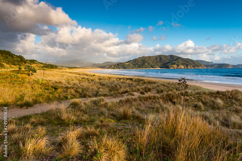 beautiful Beach Waikawau Bay near Campsite, Coromandel, New Zealand